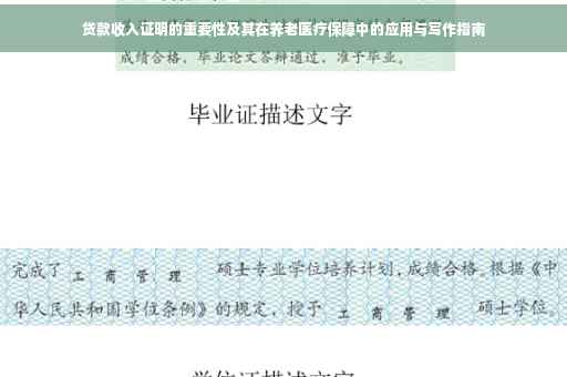 贷款收入证明的重要性及其在养老医疗保障中的应用与写作指南