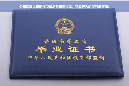 公租房收入证明作假背后的真相揭露，犯罪行为的探究与警示?
