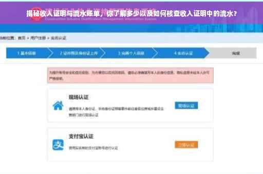揭秘收入证明与流水账单，你了解多少以及如何核查收入证明中的流水？