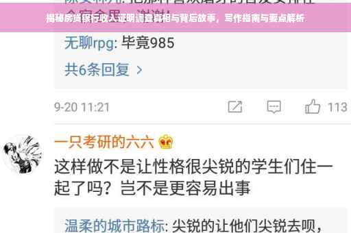 揭秘房贷银行收入证明调查真相与背后故事,写作指南与要点解析 揭秘房贷银行收入证明调查真相与背后故事,写作指南与要点解析