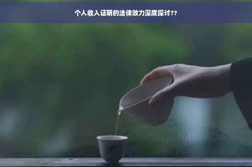 个人收入证明的法律效力深度探讨??