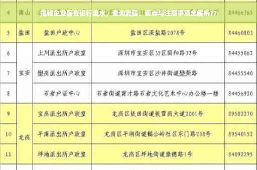 揭秘企业薪资银行流水，查询流程、要点与注意事项全解析??