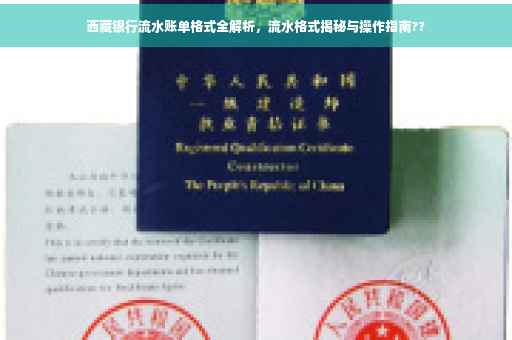 西藏银行流水账单格式全解析，流水格式揭秘与操作指南??