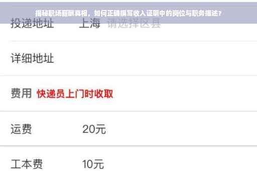 揭秘职场薪酬真相，如何正确撰写收入证明中的岗位与职务描述？