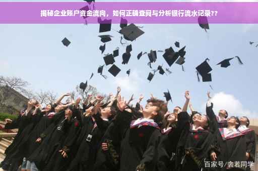 揭秘企业账户资金流向，如何正确查阅与分析银行流水记录??