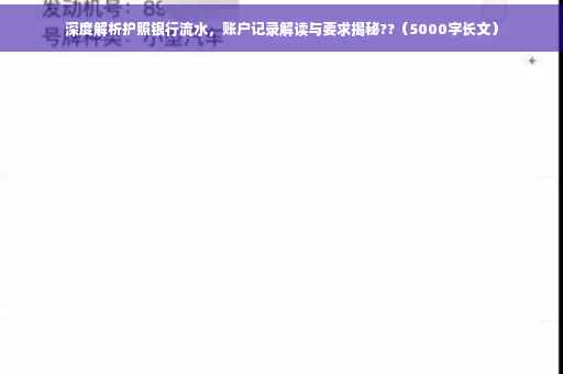 深度解析护照银行流水，账户记录解读与要求揭秘??（5000字长文）