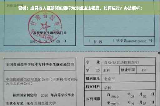 警惕！虚开收入证明领低保行为涉嫌违法犯罪，如何应对？办法解析！