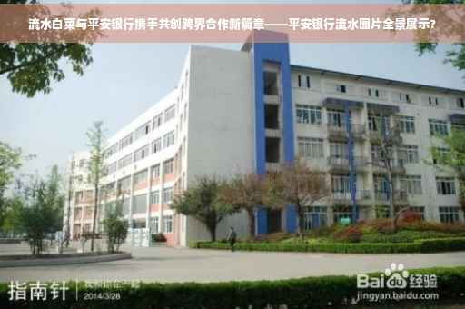 流水白菜与平安银行携手共创跨界合作新篇章——平安银行流水图片全景展示?