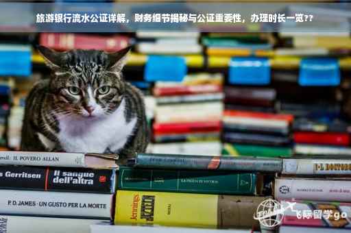旅游银行流水公证详解，财务细节揭秘与公证重要性，办理时长一览??