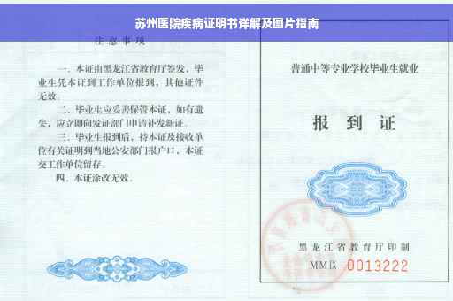 苏州医院疾病证明书详解及图片指南