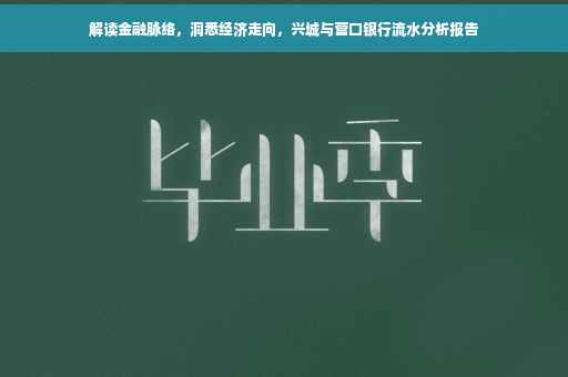 解读金融脉络，洞悉经济走向，兴城与营口银行流水分析报告