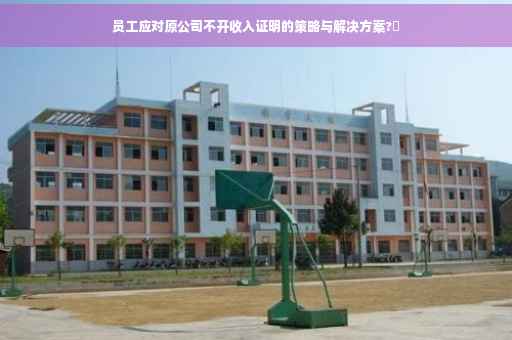 员工应对原公司不开收入证明的策略与解决方案?✨