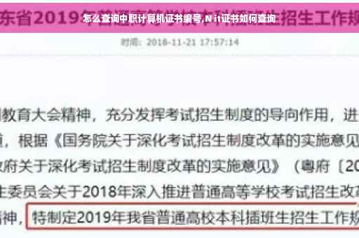 怎么查询中职计算机证书编号,N it证书如何查询