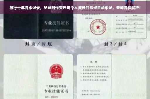 银行十年流水记录，见证时代变迁与个人成长的珍贵金融印记，查询流程解析！