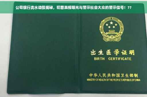 公司银行流水造假揭秘，犯罪真相曝光与警示社会大众的警示信号！??