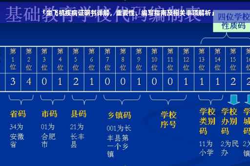 「坐飞机疾病证明书详解，重要性、编写指南及相关事项解析」