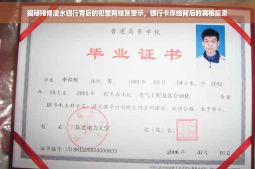 揭秘赌博流水银行背后的犯罪网络及警示，银行卡冻结背后的真相探索
