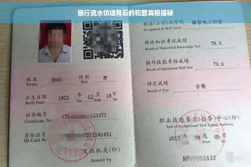 银行流水仿造背后的犯罪真相揭秘