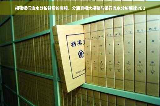 揭秘银行流水分析背后的真相，分润真相大揭秘与银行流水分析解读 ?⚡️