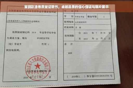 宝钢彩涂卷质量证明书，卓越品质的信心保证与图片展示