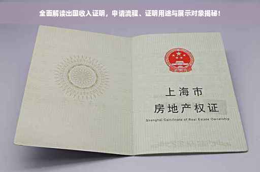 全面解读出国收入证明，申请流程、证明用途与展示对象揭秘！
