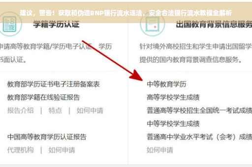 建议，警告！获取和伪造BNP银行流水违法，安全合法银行流水教程全解析