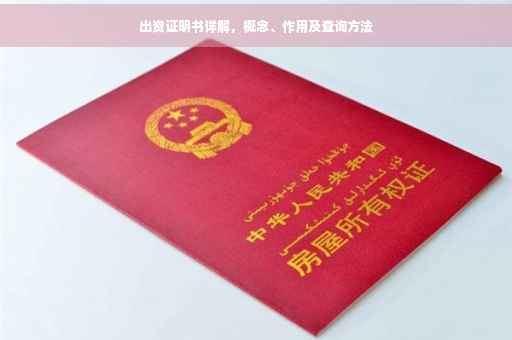 出资证明书详解，概念、作用及查询方法