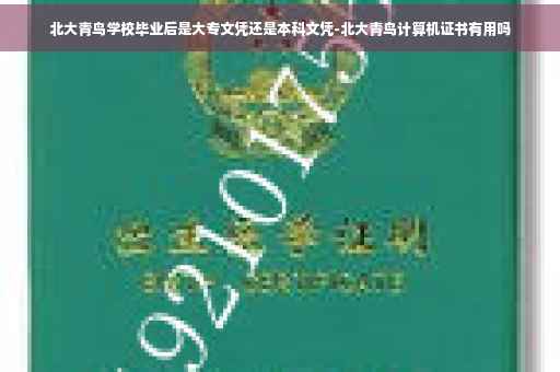 北大青鸟学校毕业后是大专文凭还是本科文凭-北大青鸟计算机证书有用吗