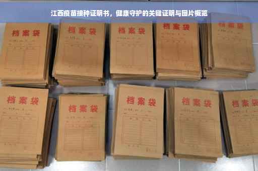 江西疫苗接种证明书，健康守护的关键证明与图片概览