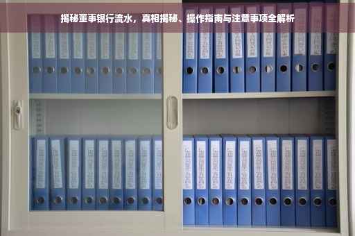 揭秘董事银行流水，真相揭秘、操作指南与注意事项全解析