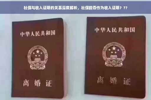 社保与收入证明的关系深度解析，社保能否作为收入证明？??