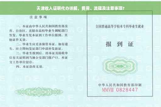 天津收入证明代办详解，费用、流程及注意事项?