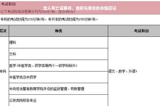 恋人死亡证明书，告别与思念的永恒印记