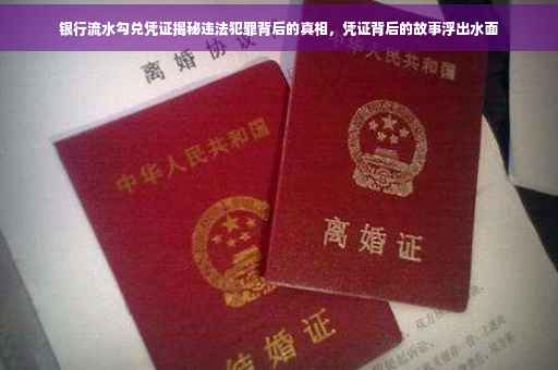 银行流水勾兑凭证揭秘违法犯罪背后的真相，凭证背后的故事浮出水面