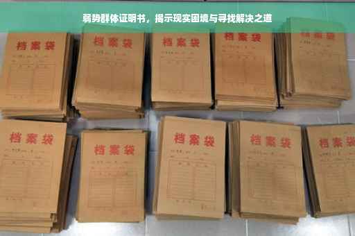 弱势群体证明书，揭示现实困境与寻找解决之道