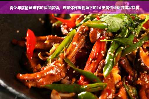 青少年病情证明书的深度解读，自媒体作者视角下的16岁病情证明书撰写指南