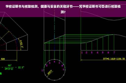 学校证明书与核酸检测，健康与安全的关键环节——凭学校证明书可否进行核酸检测？