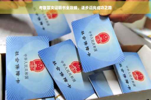 考取盲文证明书全攻略，逐步迈向成功之路