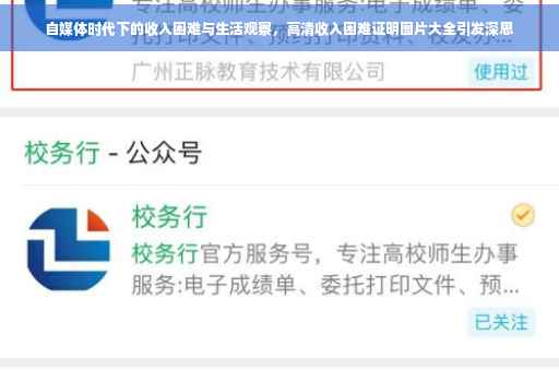 自媒体时代下的收入困难与生活观察，高清收入困难证明图片大全引发深思
