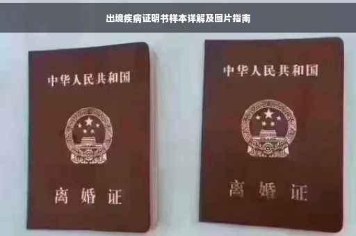 出境疾病证明书样本详解及图片指南