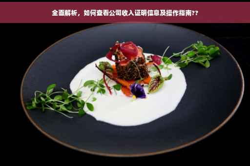 全面解析，如何查看公司收入证明信息及操作指南??
