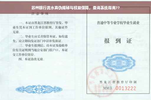 苏州银行流水真伪揭秘与权益保障，查询系统指南??