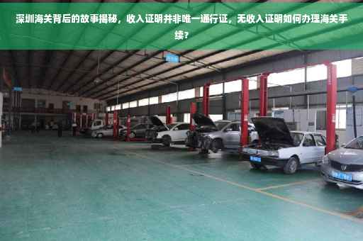 深圳海关背后的故事揭秘，收入证明并非唯一通行证，无收入证明如何办理海关手续？