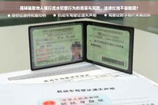 揭秘骗取他人银行流水犯罪行为的危害与风险，法律红线不容触碰?