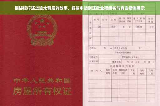 揭秘银行还贷流水背后的故事，贷款申请到还款全程解析与真实案例展示
