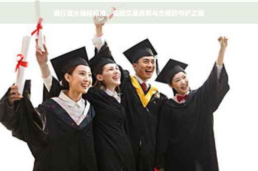 银行流水抽样标准，金融交易透明与合规的守护之锚