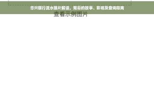 华兴银行流水图片解读，背后的故事、影响及查询指南