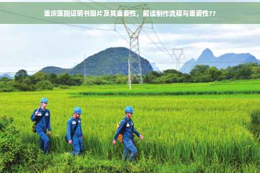 重庆医院证明书图片及其重要性，解读制作流程与重要性??