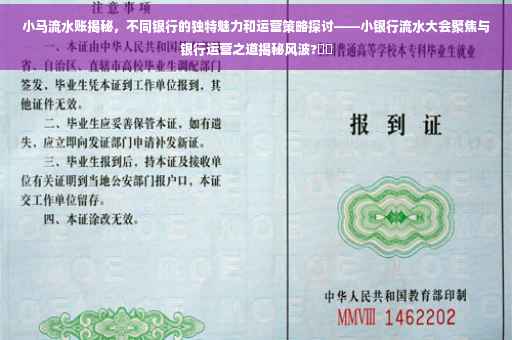 小马流水账揭秘，不同银行的独特魅力和运营策略探讨——小银行流水大会聚焦与银行运营之道揭秘风波?⚡️