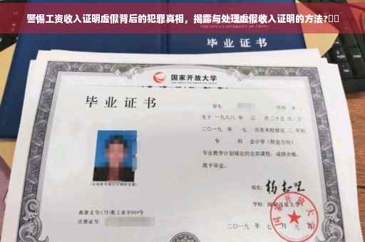 警惕工资收入证明虚假背后的犯罪真相，揭露与处理虚假收入证明的方法?⚡️